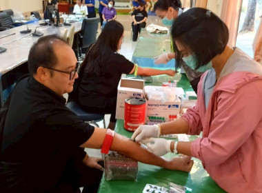 ตรวจสุขภาพประจำปี 2569 พารามิเตอร์รูปภาพ 7